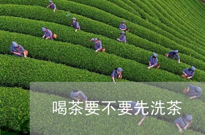 喝茶要不要先洗茶/2023032525259