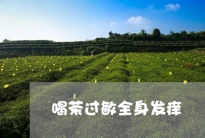 喝茶过敏全身发痒/2023032507040