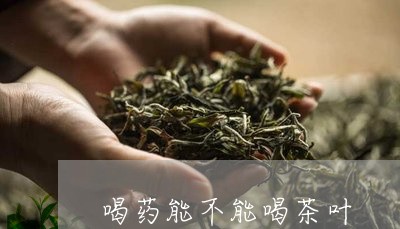 喝药能不能喝茶叶/2023032744837