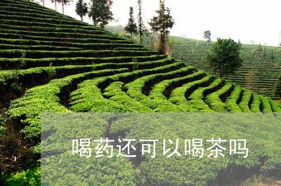 喝药还可以喝茶吗/2023032503820