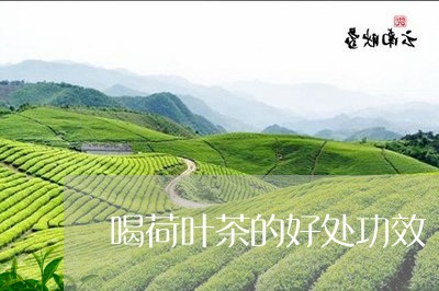 喝荷叶茶的好处功效/2023032183827