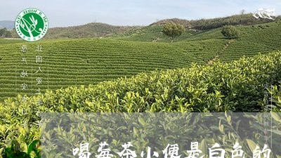 喝莓茶小便是白色的/2023041403505