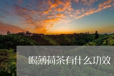 喝薄荷茶有什么功效/2023032067373