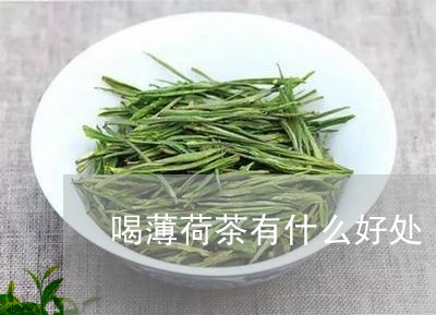 喝薄荷茶有什么好处/2023041509270