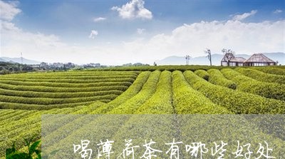 喝薄荷茶有哪些好处/2023032016370