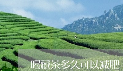 喝藏茶多久可以减肥/2023041618482