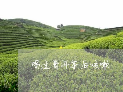 喝过普洱茶后咳嗽/2023040984037