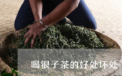 喝银子茶的好处坏处/2023032161594