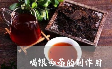 喝银杏茶的副作用/2023032471504