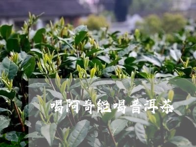 喝阿奇能喝普洱茶/2023033170461