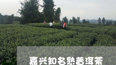 嘉兴知名熟普洱茶/2023031694915