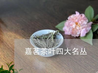 嘉茗茶叶四大名丛/2023032665069