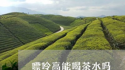 嘌呤高能喝茶水吗/2023032530602