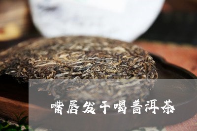 嘴唇发干喝普洱茶/2023031676179