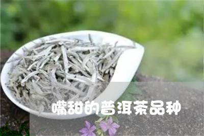 嘴甜的普洱茶品种/2023041334260