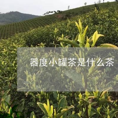 器度小罐茶是什么茶/2023041662725