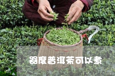 器度普洱茶可以煮/2023041062705