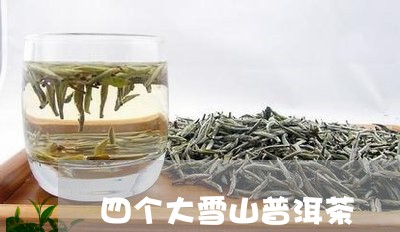 四个大雪山普洱茶/2023031626152