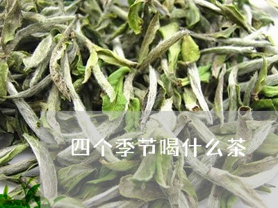 四个季节喝什么茶/2023032396047