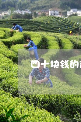 四十块钱的普洱茶/2023033178524