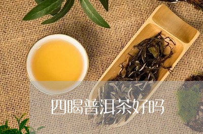 四喝普洱茶好吗/2023033184292