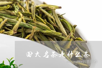 四大名茶是什么茶/2023031803725