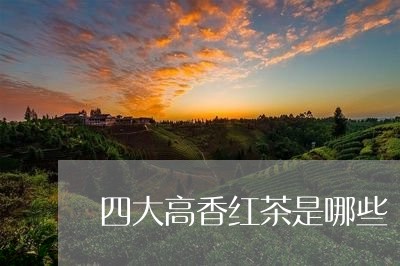 四大高香红茶是哪些/2023031967480