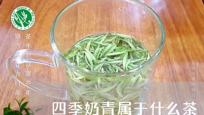 四季奶青属于什么茶/2023031989604