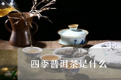 四季普洱茶是什么/2023033025149