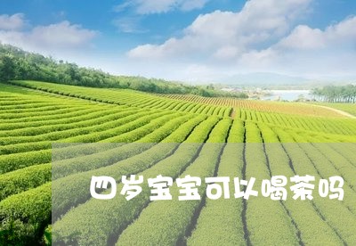 四岁宝宝可以喝茶吗/2023041649682