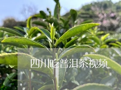 四川吃普洱茶视频/2023033145049