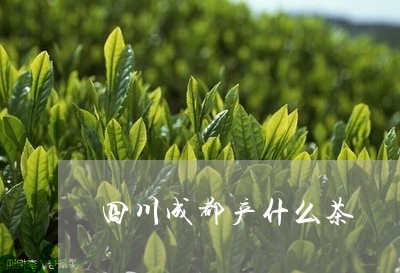 四川成都产什么茶/2023032416169