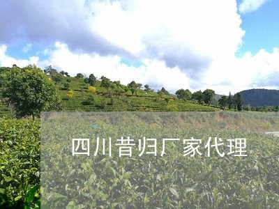 四川昔归厂家代理/2023032383948