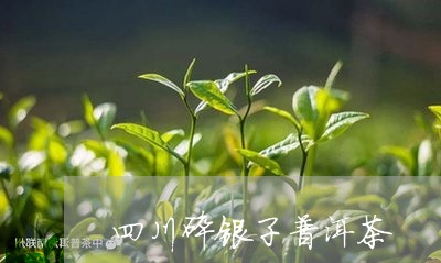 四川碎银子普洱茶/2023033014948