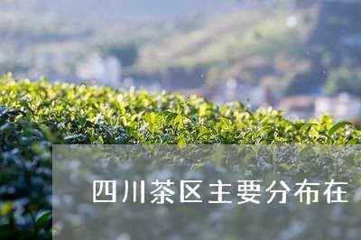 四川茶区主要分布在/2023041682806