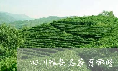 四川雅安名茶有哪些/2023032029514