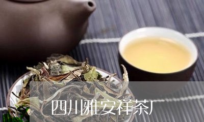 四川雅安祥茶厂/2023032460626