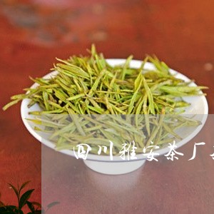 四川雅安茶厂茶叶/2023032636150