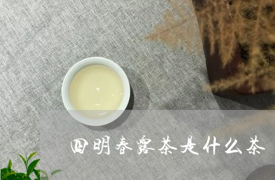 四明春露茶是什么茶/2023031923804