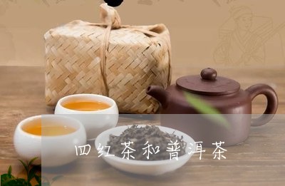 四红茶和普洱茶/2023033149381