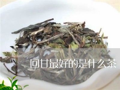 回甘最好的是什么茶/2023041682748