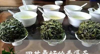 回甘最好的普洱茶/2023041484824