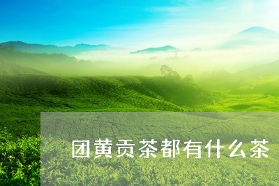 团黄贡茶都有什么茶/2023041561393