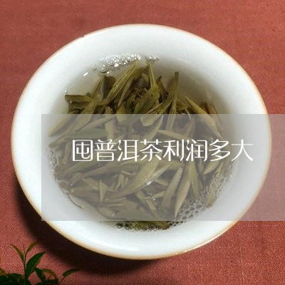 囤普洱茶利润多大/2023041096591