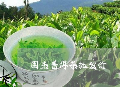 园杰普洱茶批发价/2023033165838