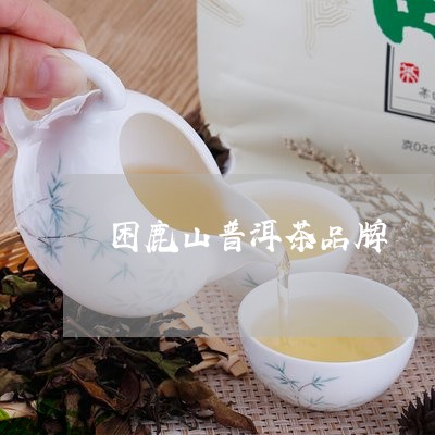 困鹿山普洱茶品牌/2023040164947