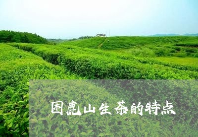 困鹿山生茶的特点/2023032513825