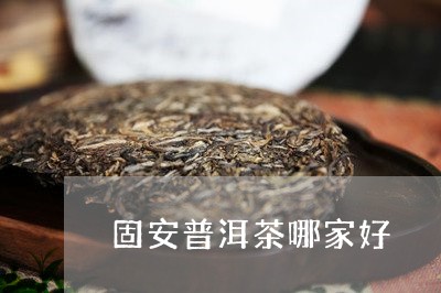 固安普洱茶哪家好/2023040906158