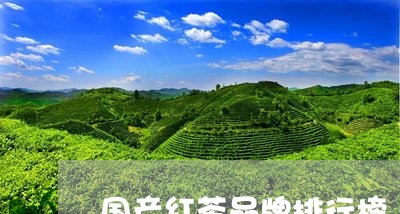 国产红茶品牌排行榜/2023041548583