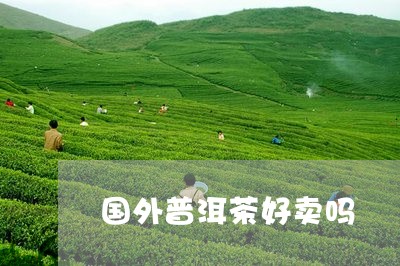 国外普洱茶好卖吗/2023031625248